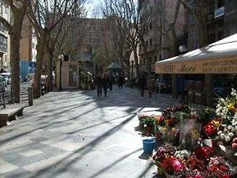Hotel Amic Colon Palma de Mallorca